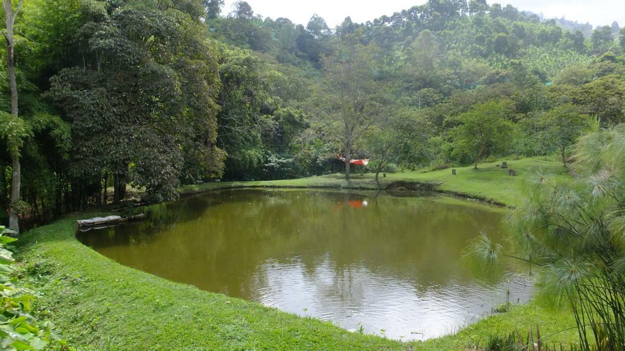 Sonarte Reserva Natural Cordoba  Bagian luar foto