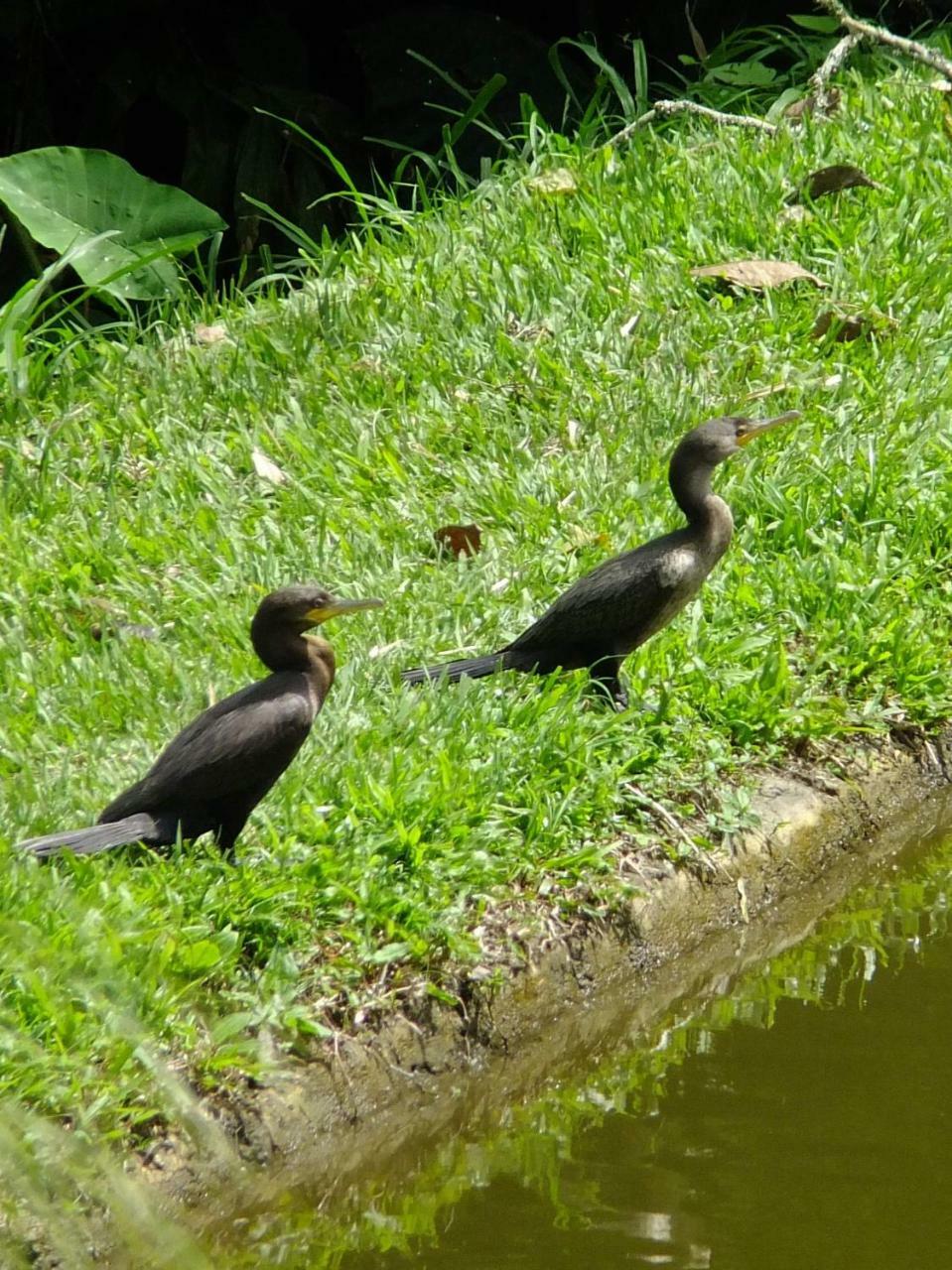 Sonarte Reserva Natural Cordoba  Bagian luar foto