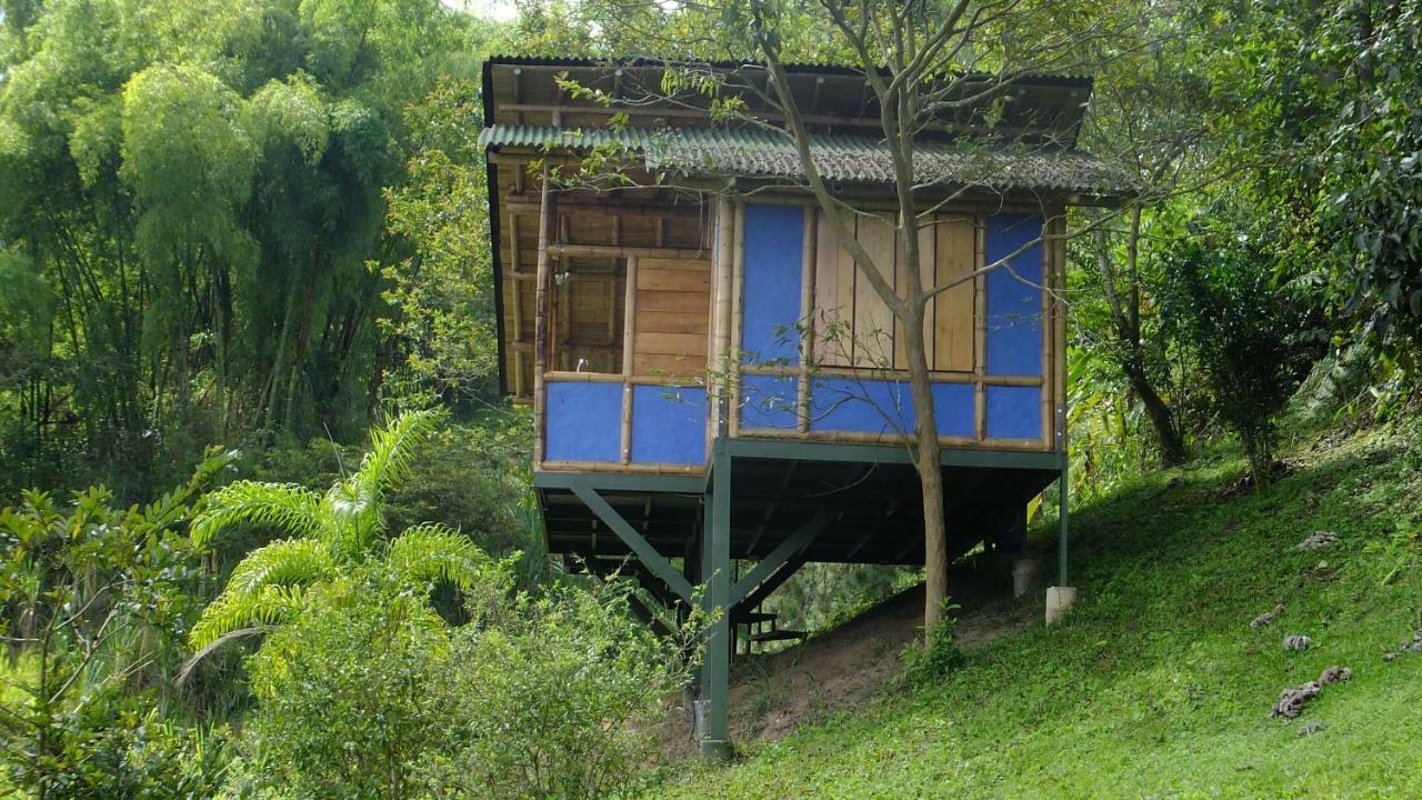 Sonarte Reserva Natural Cordoba  Bagian luar foto